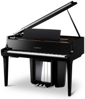 Novus NV 12